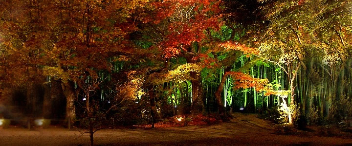 enkoji temple nightview