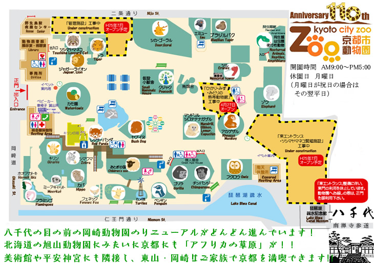 京都市動物園ウェブサイトです。各種イベントのご紹介や、どうぶつ図鑑、野生鳥獣救護センターなど京都市動物園に関する情報を配信しています。またオリジナル壁紙やどうぶつ紙芝居、壁新聞などのコンテンツもご覧いただけます。