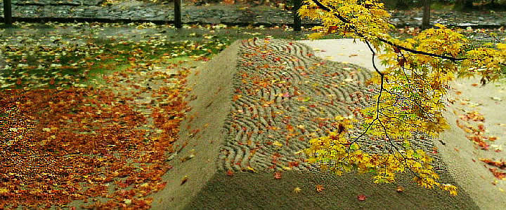 HONENIN TEMPLE AUTUMN LEAVES subway bus