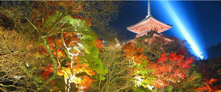 KIYOMIZUDERA TEMPLE NIGHT VIEW bus aubway