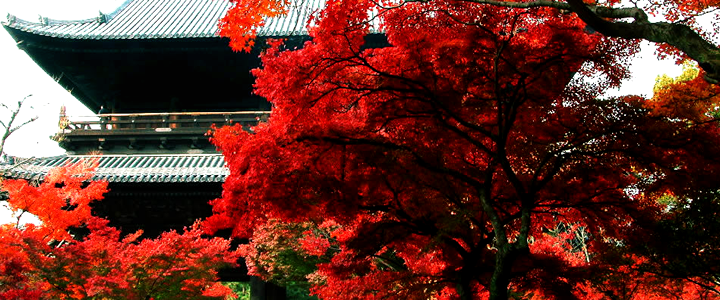 nanzeni temple autumn 