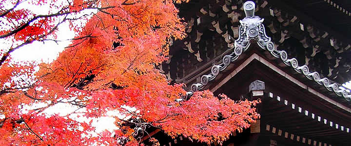 KYOTO MAP TOUR SHINNYODO TEMPLE AUTUMN LEAVES