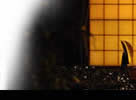 Japanese style hotel 