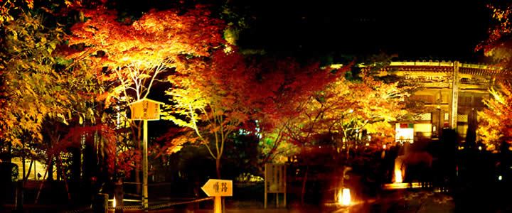 eikando temple nightview