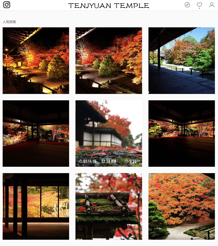 京都,インスタグラム 旅館 天授庵,instagram,観光,八千代