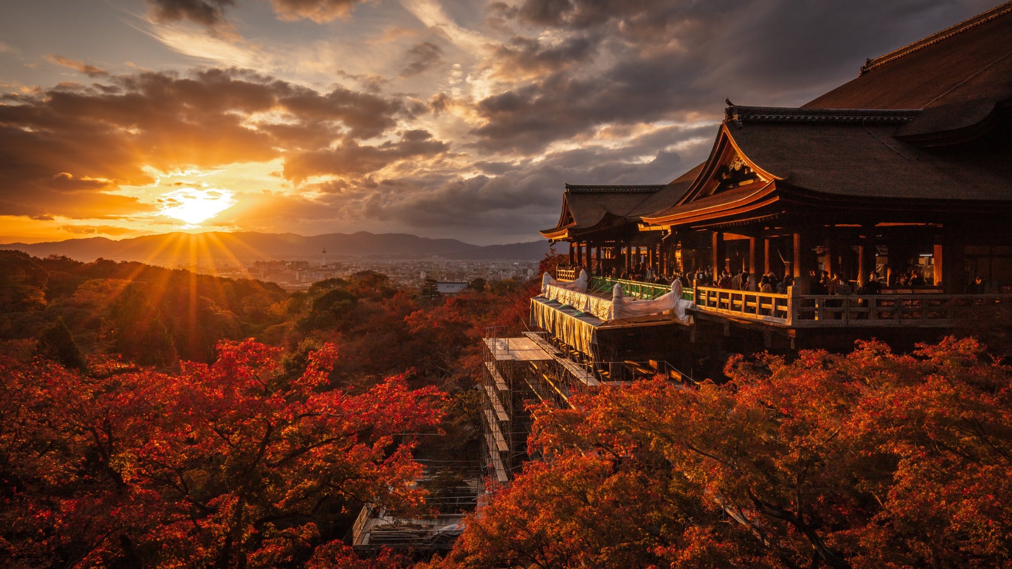 夕日に染まる清水寺の舞台と紅葉