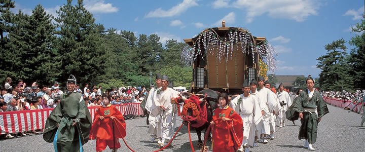 AOI FESTIVAL aoimatsuri