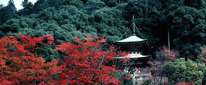 eikando temple