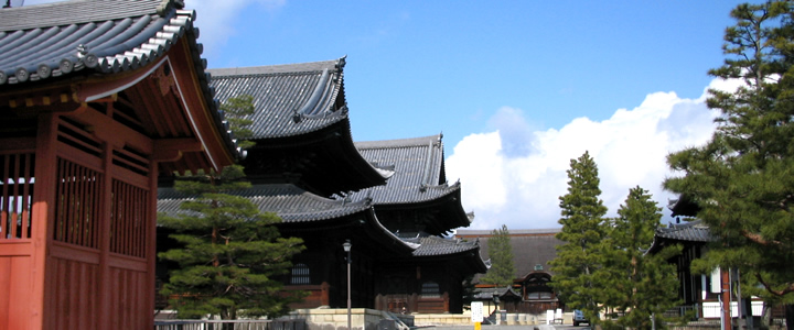 MYOSHINJI TEMPLE The 41th Kyoto Winter Tours