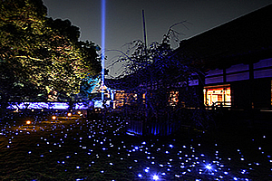 青蓮院夜の特別拝観