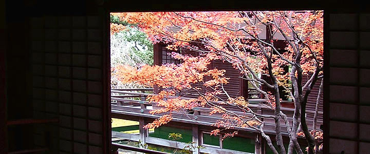 SHORENIN TEMPLE AUTUMN LEAVES